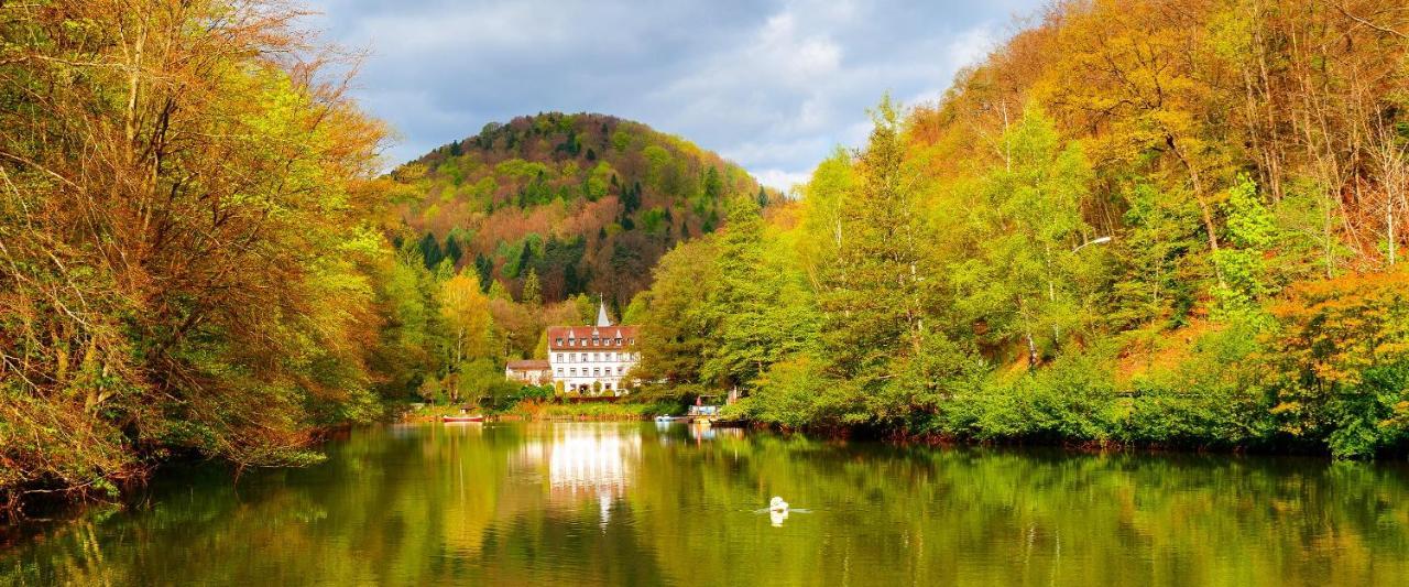 Hotel Pfaelzer Wald Бад Бергцаберн Екстериор снимка